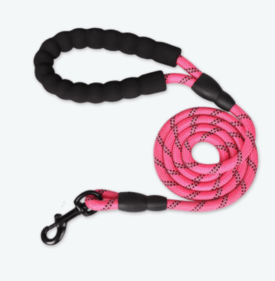 Pet Supplies Reflective Dog Leash - Dog Hugs Cat