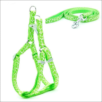 Pet Supplies Leash Cat Chest Strap Dog Leash - Dog Hugs Cat