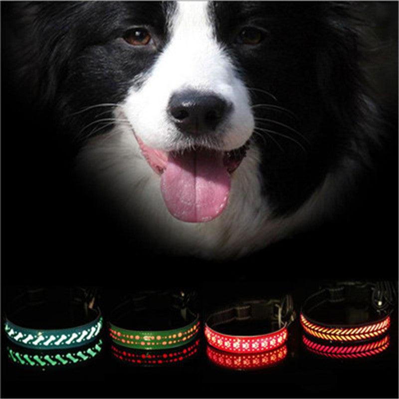 Led Light Collar Pet Collar - Dog Hugs Cat