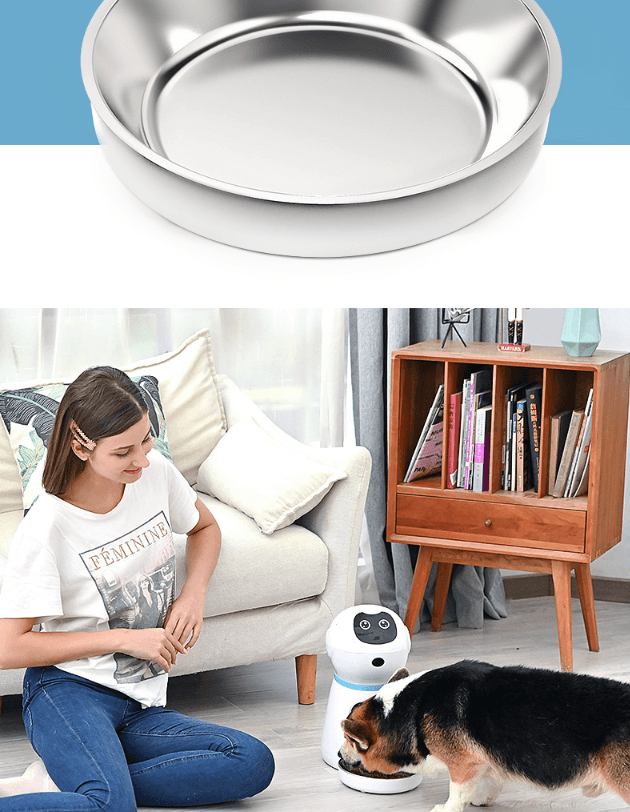 Automatic Pet Feeder - Dog Hugs Cat