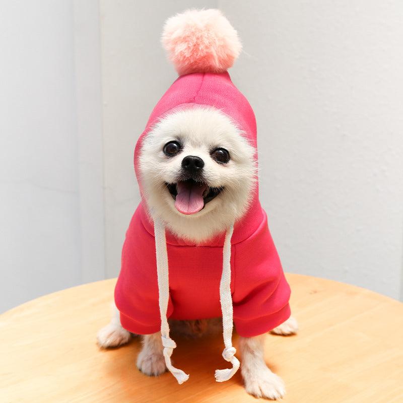 Fruit Dog Clothes Two-Legged Hooded Outfits Green Fleece Clothing Autumn Winter Hoodies - Dog Hugs Cat