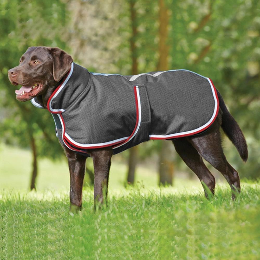 Autumn And Winter Warm Pet Leisure Waterproof Jacket - Dog Hugs Cat