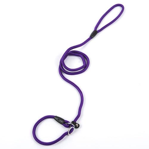 Dog Leash Dog Leash Pet Leash - Dog Hugs Cat