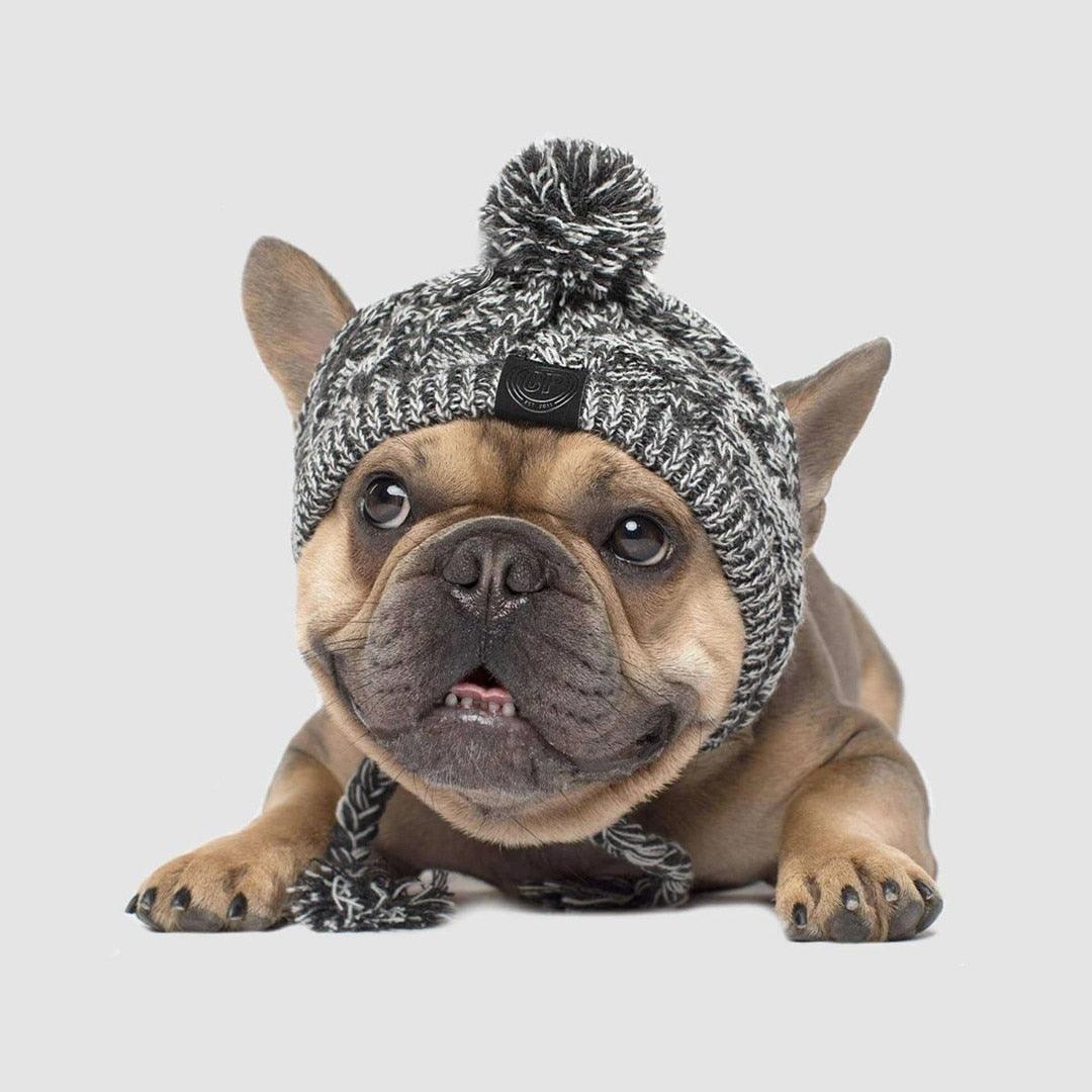 Winter Fashion Dog Hat Windproof Fluffy Knitted Polar Pom Hat - Dog Hugs Cat