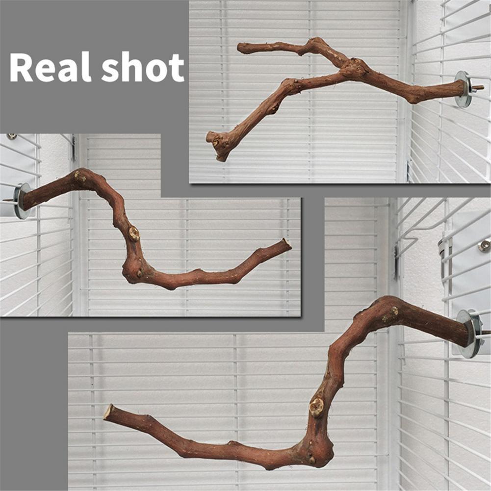 Bird Standing Stick Wild Grape Wood Grinding Claw Stick Perching Stick - Dog Hugs Cat