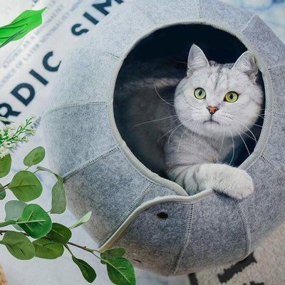 Cat Tunnel Toy Foldable Cat Tube Indoor Cat Cave Bed Multi-Function Pet Toy For Puppy Dogs Cats Interactive Ball Toy - Dog Hugs Cat