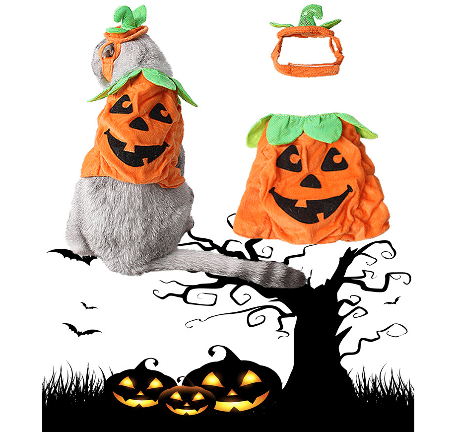 Halloween Pet Cats Costume Props Creative Pumpkin Shape Green Leaf Decoration Cosplay Clothing Holiday Garment Supplies - Dog Hugs Cat