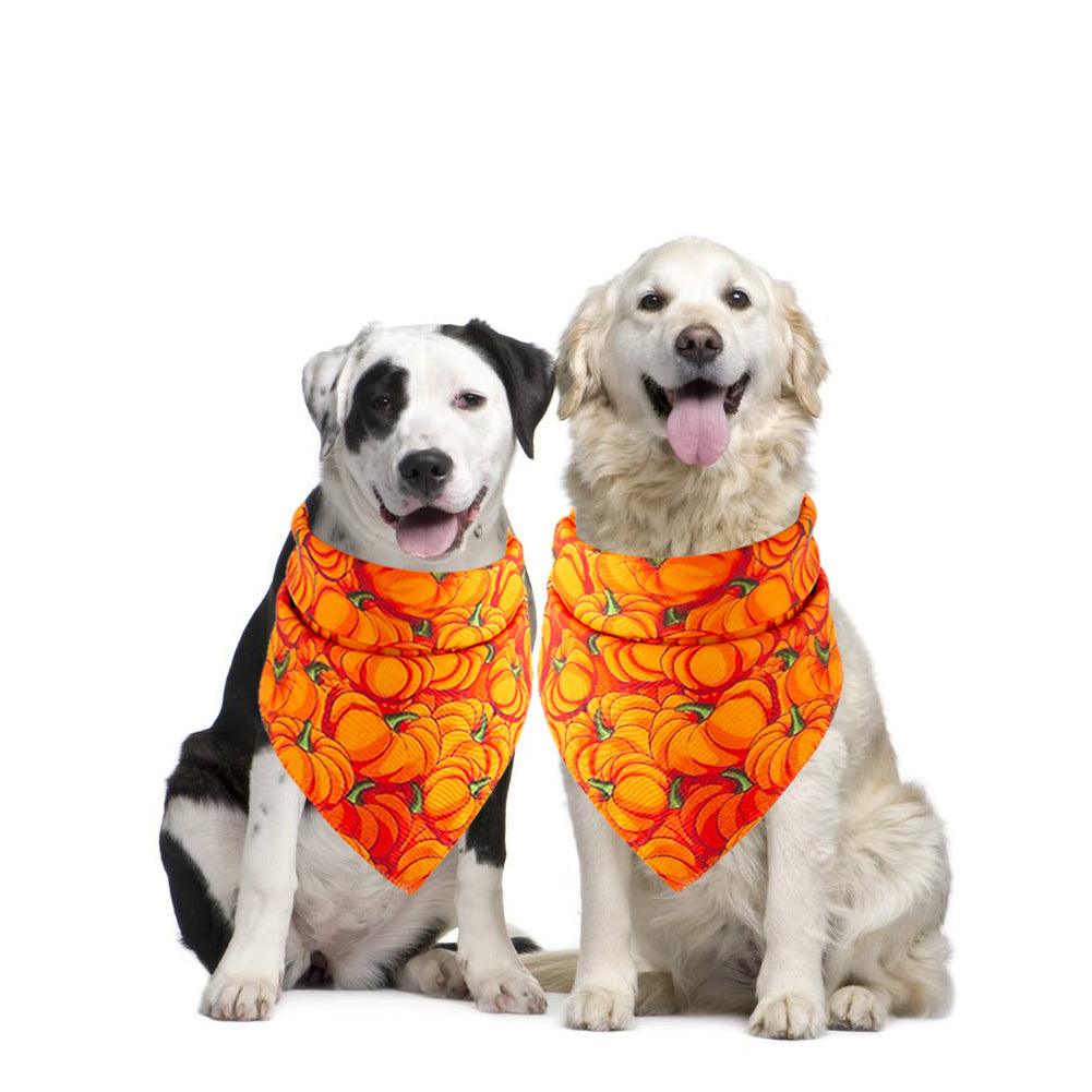 Halloween Pet Saliva Towel - Dog Hugs Cat