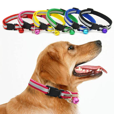 Fluorescent Dog Collar - Dog Hugs Cat