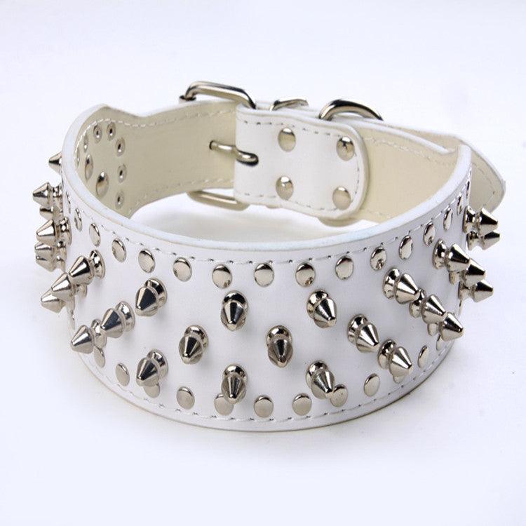 Pet Collar Large Dog Rivet Collar - Dog Hugs Cat