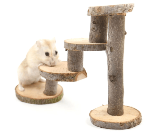 New Hamster Climbing Ladder Wood Chewing Toy - Dog Hugs Cat