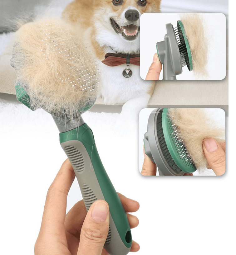 Automatic Hair Removal Comb For Beauty Products - Dog Hugs Cat