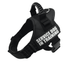 Explosion-Proof Chest Harness Pet Leash - Dog Hugs Cat