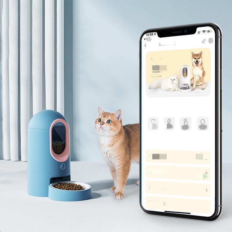 Automatic Feeder Cat Intelligent Timing And Quantification - Dog Hugs Cat