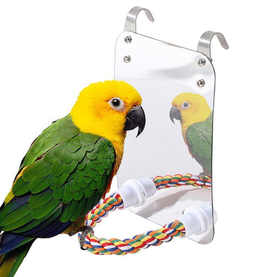 Acrylic Bird Mirror Toy: Enhance Your Parrot's Playtime! - Dog Hugs Cat