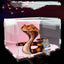 Acrylic Reptile Feeding Habitat - Transparent Thermal Box - Dog Hugs Cat
