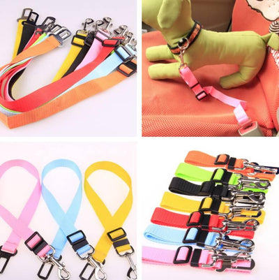 Fixed Strap Polyester Dog Strap Dog Leash Dog Leash - Dog Hugs Cat