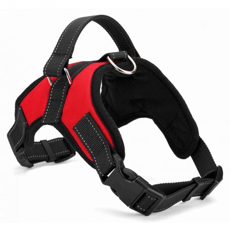 Adjustable Dog Chest Harness with Optional Accessories - Dog Hugs Cat