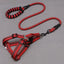 Adjustable Nylon Dog Leash with Chest Harness - Dog Hugs Cat