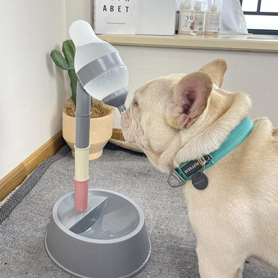 Adjustable Pet Water Fountain - The Perfect Hydration Solution for Cats and Dogs - Dog Hugs Cat