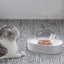 Adjustable Stainless Steel Pet Double Bowl - Elevated Feeding Solution - Dog Hugs Cat