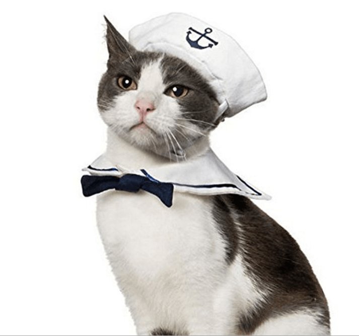 Adorable Nautical Pet Costume Set - Perfect for Halloween Cosplay! - Dog Hugs Cat