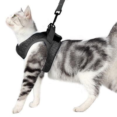 Adventure Cat Leash Vest - Dog Hugs Cat