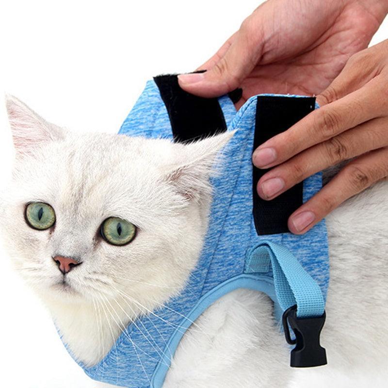 Adventure Cat Leash Vest - Dog Hugs Cat