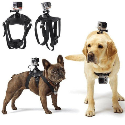 Adventure Paws Camera Mount Harness for Dogs - Dog Hugs Cat