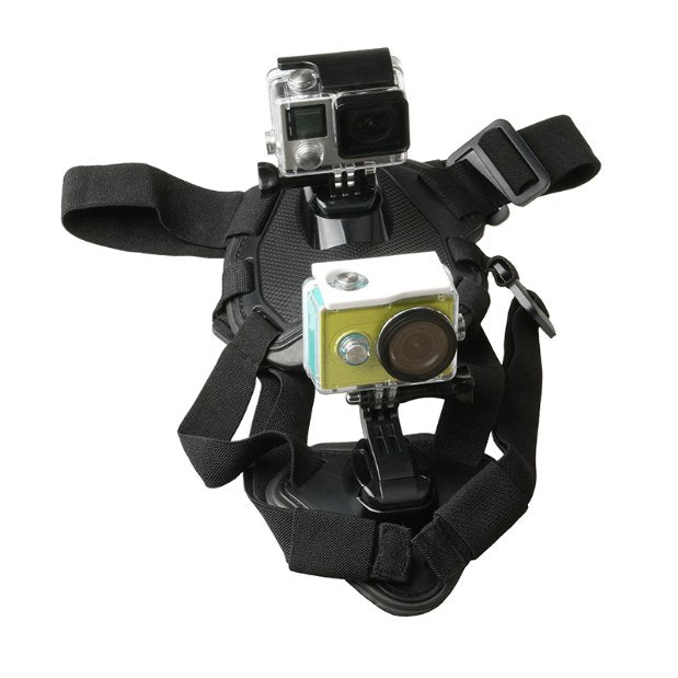 Adventure Paws Camera Mount Harness for Dogs - Dog Hugs Cat