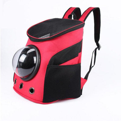 Adventure Paws Portable Pet Carrier: The Stylish Solution for On-the-Go Pet Owners - Dog Hugs Cat