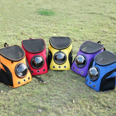 Adventure Paws Portable Pet Carrier: The Stylish Solution for On-the-Go Pet Owners - Dog Hugs Cat