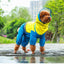 All-Weather Dog Raincoat: Ultimate Protection for Your Furry Friend - Dog Hugs Cat