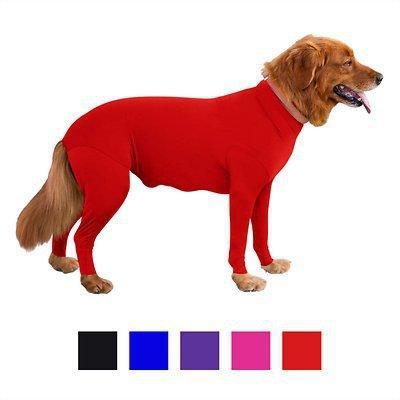 Alluring Four-Legged Elastic Pet Clothing for Autumn and Winter - Dog Hugs Cat