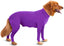 Alluring Four-Legged Elastic Pet Clothing for Autumn and Winter - Dog Hugs Cat