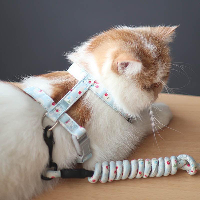 Anti-Tug Floral Cat Leash - Dog Hugs Cat