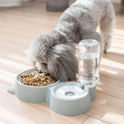 Automatic AquaFlow Dog Bowl - Dog Hugs Cat