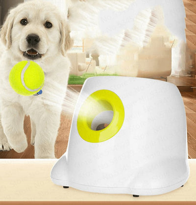 Automatic Dog Ball Launcher: Keep Your Pup Active and Entertained All Day! - Dog Hugs Cat