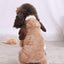 Autumn and Winter Dog Pet Costume Collection: Cozy Coral Fleece Cartoon Style - Dog Hugs Cat