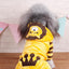 Autumn and Winter Dog Pet Costume Collection: Cozy Coral Fleece Cartoon Style - Dog Hugs Cat