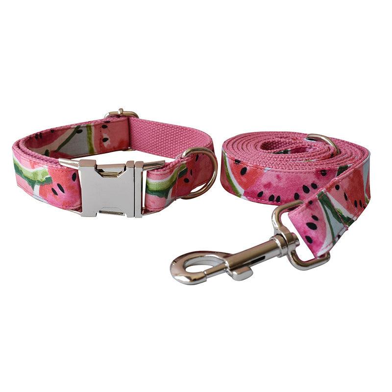 Pet Supplies Dog Collar Pet Leash - Dog Hugs Cat