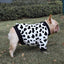 French Clothes Dog Pajamas Winter Clothes Corgi - Dog Hugs Cat