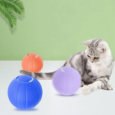 Smart Bouncing Rolling Silicone Ball Toy Funny Cat Bite - Dog Hugs Cat
