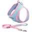 Pet Chest Harness Cat And Dog Leash - Dog Hugs Cat