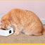 Automatic Switch Moisture-Proof Smart Feeder Cat And Dog Bowl - Dog Hugs Cat