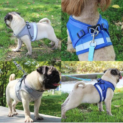 Reflective And Breathable Pet Harness - Dog Hugs Cat