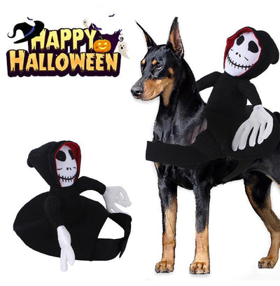 New Funny Pet Halloween Costume Halloween Pet Decoration Dress Up Pet Cosplay Costume Halloween Pet Clothes Spider Pumpkin Vest - Dog Hugs Cat