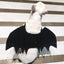 Pet Bat Wings Transformed Into Dog Accessories - Dog Hugs Cat