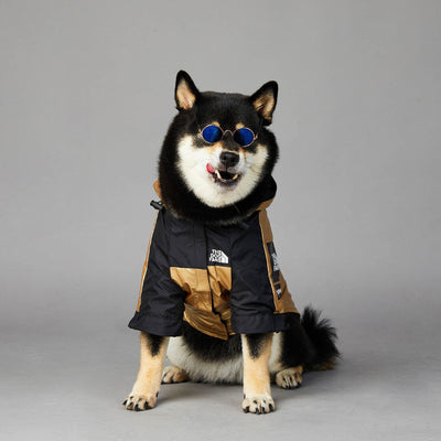 Dog Large Dog Raincoat Pet Jacket - Dog Hugs Cat