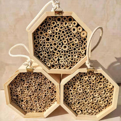 Bee Haven Wooden Insect Hotel - Dog Hugs Cat
